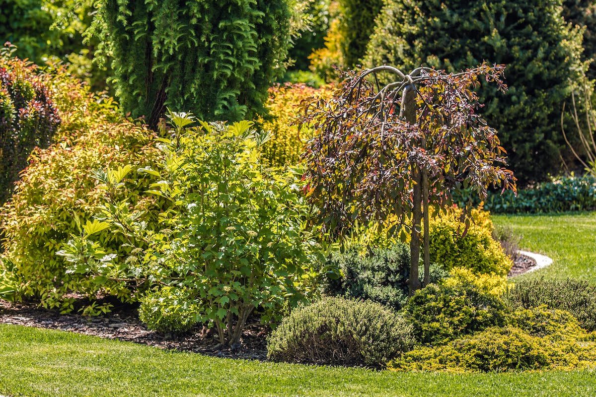 Pristine, well kept tidy garden